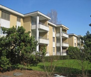 Rentals without deposit - Photo 3