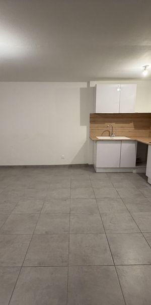 Location Appartement 2 pièces 60m² PONT D AIN 01160 - Photo 1