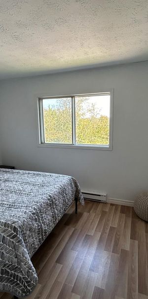 2 CH - 1 SDB - Sherbrooke - $1,150 /mo - Photo 1