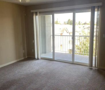 Marshall Grove East Apartments — 1 Bedroom - Photo 2