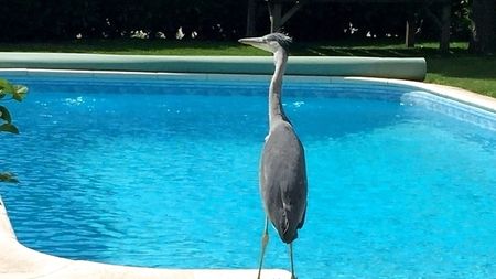 1 Zimmer-Wohnung in Obergösgen (SO), möbliert - Foto 5