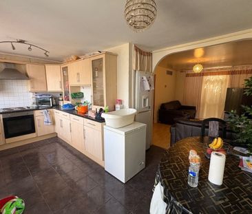 Thorn Hill - Photo 3