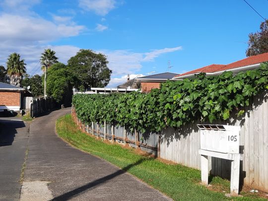 Freshly Renovated, includes Water and Lawns - Photo 1