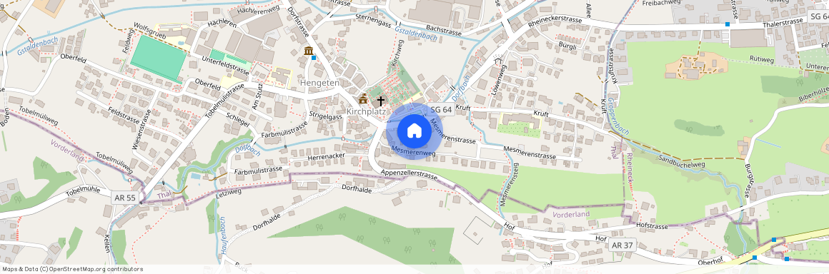 Rheineckerstrasse 8, 9425 Thal