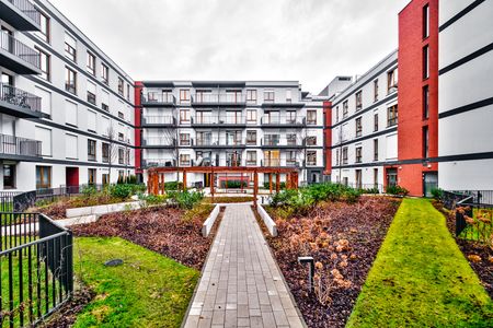 Nowy 3 pokojowy apartament na wynajem - Zdjęcie 2