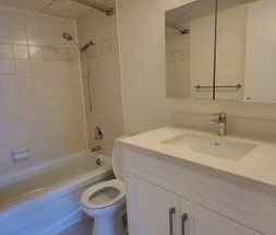 Richmond Spacious Newly Reno One Bedroom/One Bath Apartment for Rent - Photo 4