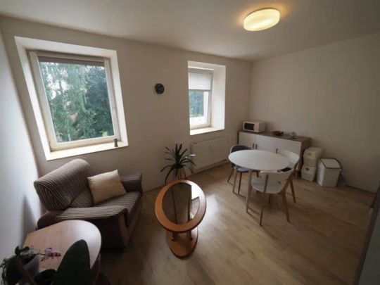 Pronájem bytu 2+kk (46,74 m - Fotografie 1