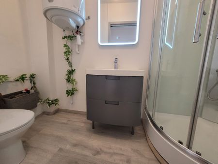 Location Appartement 3 pièces 45m² ST JEAN D ANGELY 17400 - Photo 5