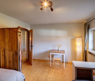 Charming apartment in historic famrhouse in Ostin - Photo 1