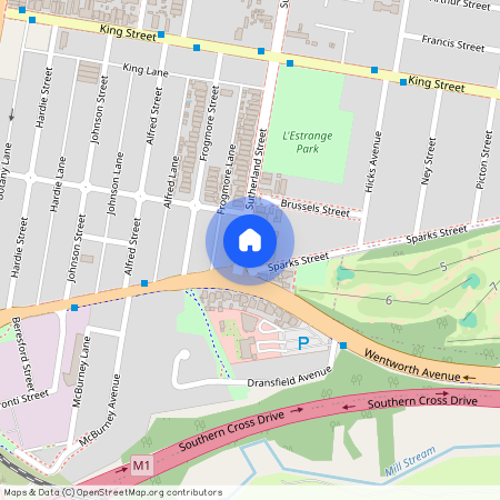 133 Sutherland Street, NSW 2020, Mascot