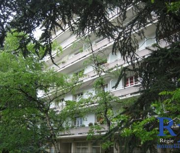 Location Appartement 2 pièces 60m² GRENOBLE 38100 - Photo 6