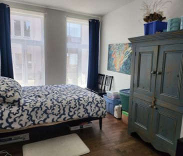 873 Boul. De Maisonneuve E., app.103, H2L 1Y8, H2L 1Y8, Montréal - Photo 6