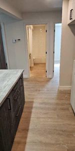 4 et demi neuf - Jamais habité - Limoilou (Près du centre Vidéotron et première Avenue) - Photo 3