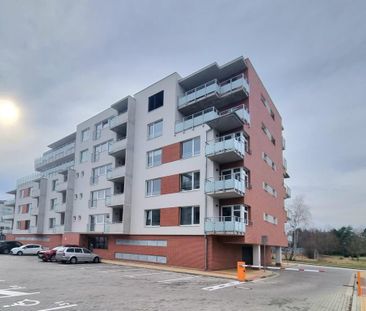 Pronájem bytu 1+kk 41 m2 - Photo 2