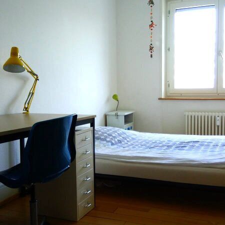 APPARTEMENT 2 PIÈCES À BÂLE - ALTSTADT/KLEINBASEL, MEUBLÉ, TEMPORAIRE - Foto 1