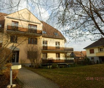 T3/4 La Wantzenau - Photo 2