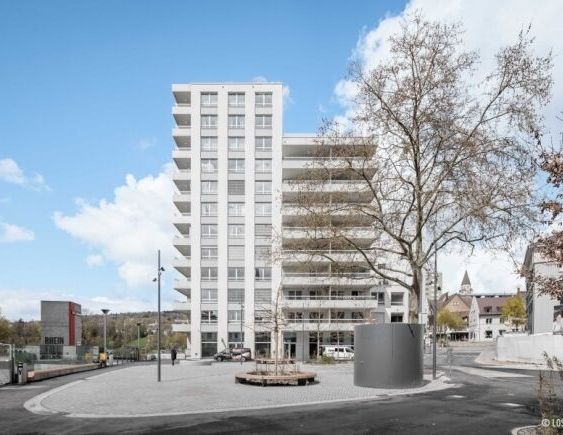 Your new home near the Rhine Falls - Photo 1