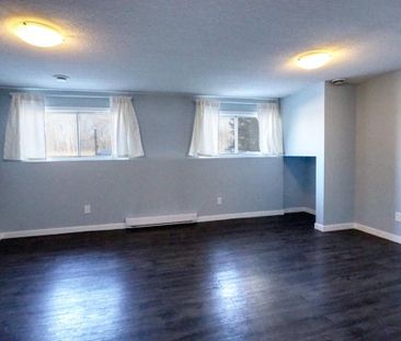 Gorgeous Basement Suite in Normandeau! - Photo 3