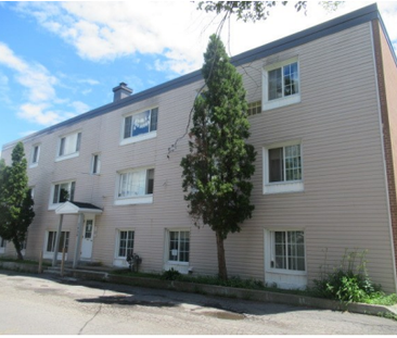 1939 Carling Avenue - Photo 5