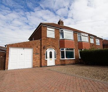 101 Newland Park Drive - Photo 5