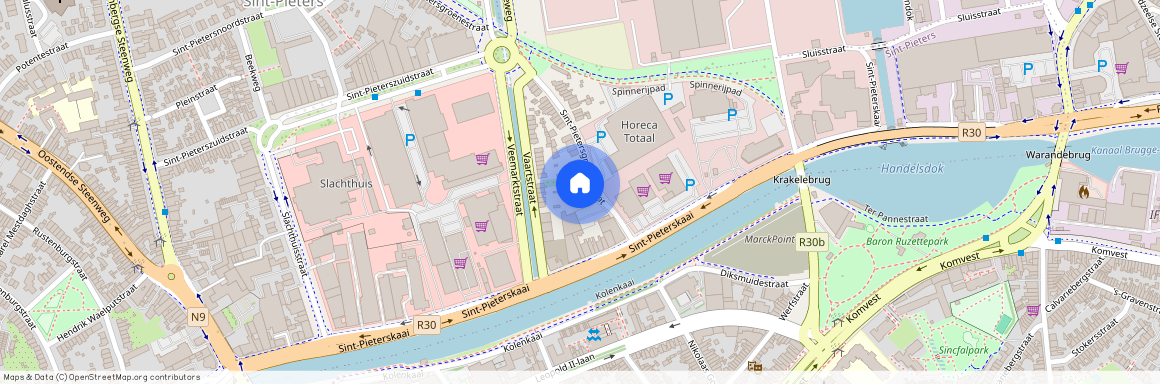 Sint-Pietersgroenestraat 15, 8000 Brugge