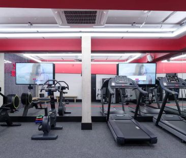 Single Studio - Photo 3