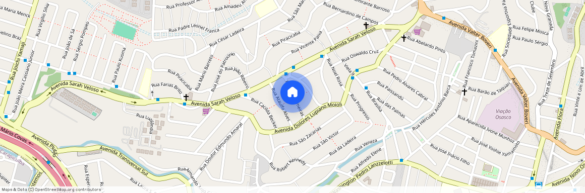 Rua das Palmeiras, Veloso, Osasco, SP, 06144200