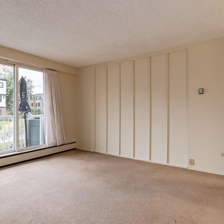 1 Bedroom - Photo 1