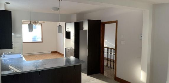 4 1/2 Avec Cours Arrière Et Cabanon - Photo 2
