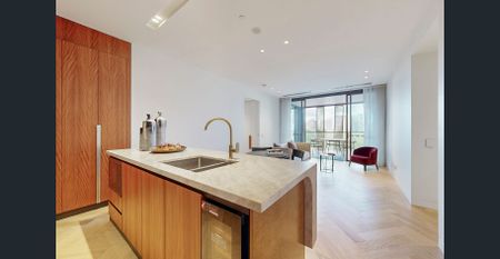 Prestigious Luxury Residence Facing Hyde Park - KING & PHILLIP - Photo 3