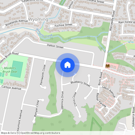 50 Japonica Drive, NSW 2250, Wyoming