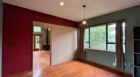 ILAM - FOUR BEDROOMS, TWO HEATPUMPS, GARAGE - Photo 3