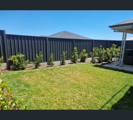 33 The Avenue, Roseworthy, SA 5371 - Photo 2