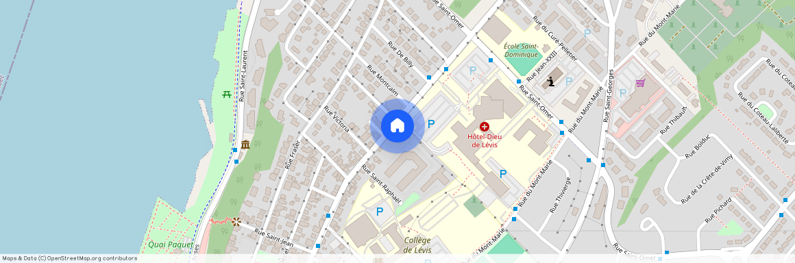 141 Rue Wolfe, Lévis, Lévis, Chaudière-Appalaches, G6V 3S4