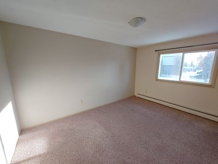 Beautiful Second Floor Unit! - Photo 3