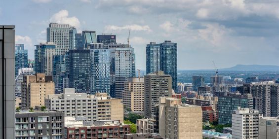 1 1/2 - 4000 De Maisonneuve Blvd. West, Montréal - Photo 3