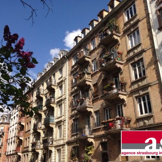 Appartement 2/3 pièces - Proximité facultés - Observatoire - Photo 1