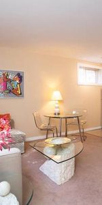 Beautiful Fully Furnished Studio Suite - Photo 4