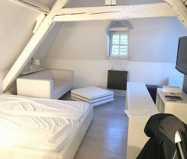 Location Appartement 1 pièce 25m² METZ 57000 - Photo 4