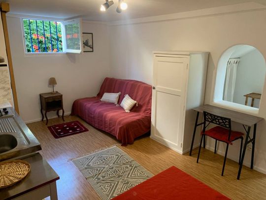 Studio meublé avec terrasse privée arborée - Photo 1