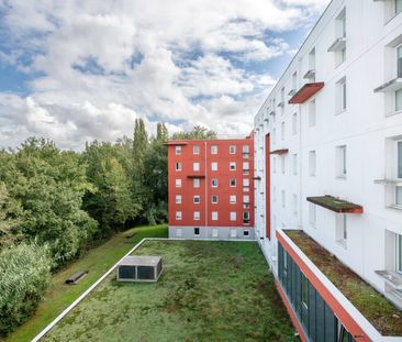 loue studio non meublé - Photo 4