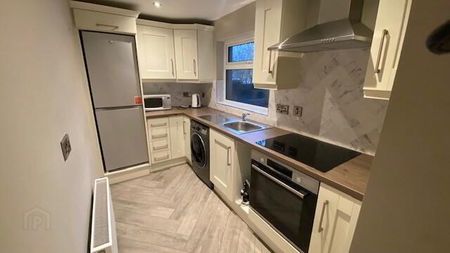 17 St Patricks Avenue, Newry, BT34 1HQ - Photo 5