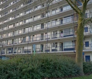 Jan Dammassestraat 3078 HM Rotterdam - Photo 2