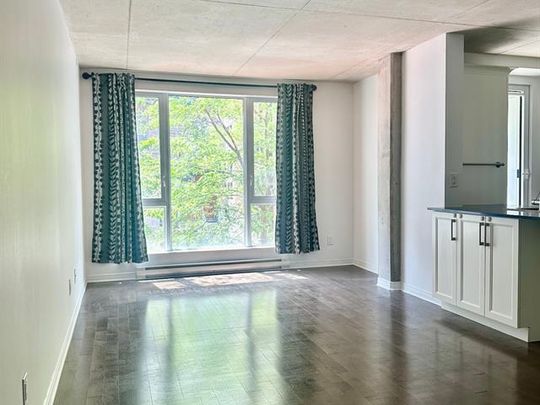 1235 Rue Bishop - Photo 1