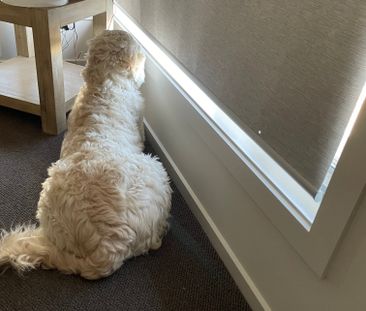 White Rock - Photo 3