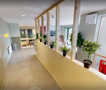 Extra Large En-Suite - Standard Level - Photo 5