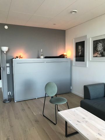 Lodjursstråket, Göteborg - Foto 2