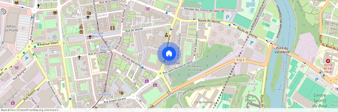 1227, Carouge GE, Rue de la Fontenette, 31