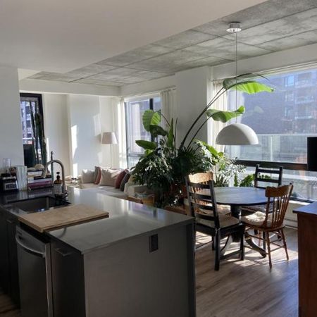 4 1/2 - Montréal (Griffintown) - 2 930 $/mois - Photo 3