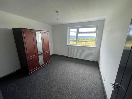 45 Front Road, Drumbo, Lisburn, BT27 5JX - Photo 4